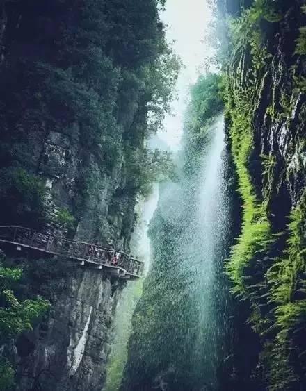小僵尸射飞鸟